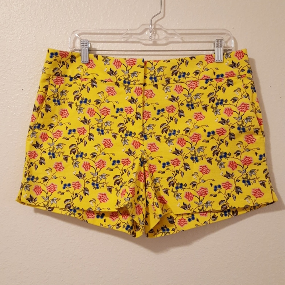 Ann Taylor Loft Riviera Shorts